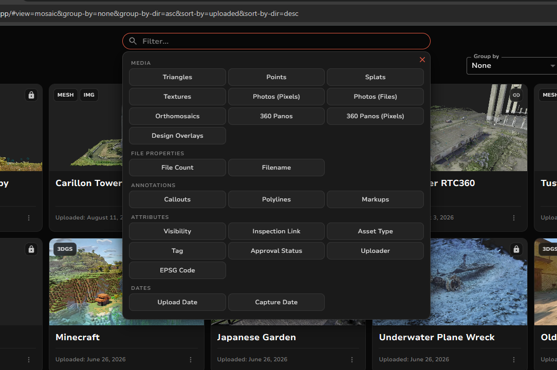 Advanced asset filter menu.